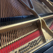 1992 Baldwin 5'5 baby grand. MADE IN THE USA! - Grand Pianos